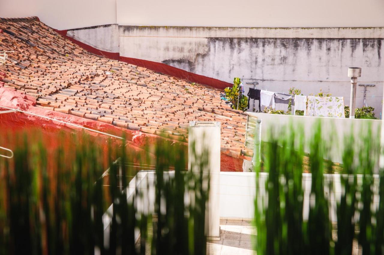 Canary Treasure La Laguna Exclusiveness Prime Location ภายนอก รูปภาพ